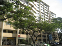 Blk 607 Ang Mo Kio Avenue 4 (Ang Mo Kio), HDB 3 Rooms #46882